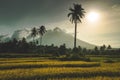 Mayon volcano on luzon island philippines photo