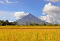 Mayon Volcano