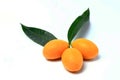 Mayongchid , Mayongchit marian plum, gandaria, plum mango, white background