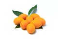 Mayongchid , Mayongchit marian plum, gandaria, plum mango,white background Royalty Free Stock Photo