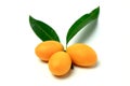 Mayongchid , Mayongchit marian plum, gandaria, plum mango,white background Royalty Free Stock Photo