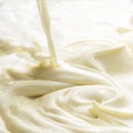 Mayonnaise Royalty Free Stock Photo