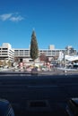 Mayor\'s Christmas Tree at Crown Center Royalty Free Stock Photo