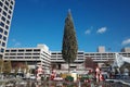 Mayor\'s Christmas Tree at Crown Center Royalty Free Stock Photo