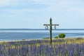 Maypole in a blossom blue field by the coast in Sweden