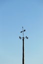 The top of conistone`s maypole