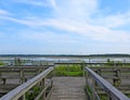 Mays Point boardwalk birding view of Montezuma Wetlands Complex marshland Royalty Free Stock Photo