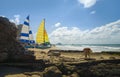 Mazatlan, mexico. Man picking up sea shells.