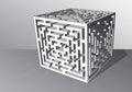 The maze cube