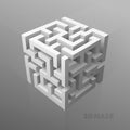 The maze cube