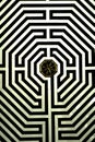 The Maze on the floor of the Cathedral Basilica of Our Lady of Amiens