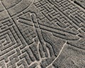 Maze formed in the corn field. Bird\'s-eye view. View from the drone. Monochrom. Background