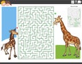 Maze game with cartoon baby giraffe with mom Royalty Free Stock Photo