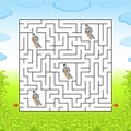 Maze. Game for kids. Funny labyrinth. Education developing worksheet. Activity page. Puzzle for children. Cute cartoon style.