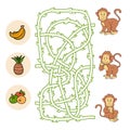 Maze game (monkey)