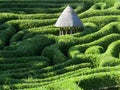 The topiary maze at Glendurgan Garden, Cornwall Royalty Free Stock Photo