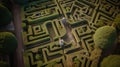 Maze of Intricacy: Aerial View of Labyrinth