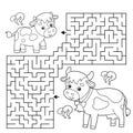 Maze or Labyrinth Game. Puzzle. Coloring Page Outline Of cartoon cow with little calf. Farm animals with their cubs. Coloring book