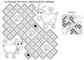 Maze or Labyrinth Game. Puzzle. Coloring Page Outline Of cartoon goat with goatling or kid. Farm animals with their cubs. Coloring