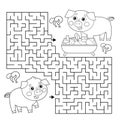 Maze or Labyrinth Game. Puzzle. Coloring Page Outline Of cartoon pig or swine with little piglet. Farm animals with their cubs.