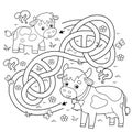 Maze or Labyrinth Game. Puzzle. Tangled road. Coloring Page Outline Of cartoon cow with little calf. Farm animals with their cubs