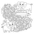 Maze or Labyrinth Game. Puzzle. Tangled road. Coloring Page Outline Of cartoon pig or swine with little piglet. Farm animals with