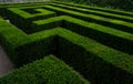 Maze and Labyrinth in Schonbrunn Palace garden