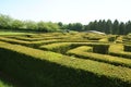 Maze at Leeds Castle garden in Maidstone, Kent, England, Europe