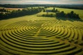 maze-like crop circles in a field of oats