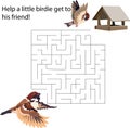 38 maze a little birdie