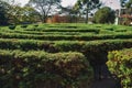 Maze made of evergreen bushes in a garden Royalty Free Stock Photo