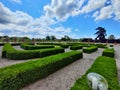 Maze made of small hedgerow in park during beautiful summer weather