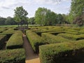 Maze magical Hanwell Ealing Green hedge