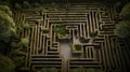 A Maze of Mystery: An Aerial View of a Complex Labyrinth