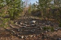 Maze for pagan retuals in the forest