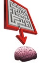 Maze pointing to human brain