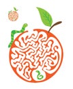 Maze puzzle for kids with caterpillars and apple. Labyrinth illustration, solution included. Royalty Free Stock Photo