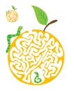 Maze puzzle for kids with caterpillars and apple. Labyrinth illustration, solution included.