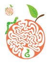 Maze puzzle for kids with caterpillars and apple. Labyrinth illustration, solution included. Royalty Free Stock Photo