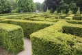 WENTWORTH, UK - June 1, 2018. Maze set within the grounds of Wentworth Woodhouse. Rotherham, South Yorkshire, UK - June 1, 2018