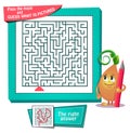 Maze what is pictured