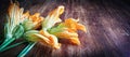 Mazzo di fiori di zucca Royalty Free Stock Photo