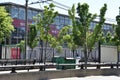 MBTA Green Line Surface-Level Trolley Stop at Northeastern University in Boston