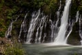 Mcarthur-Burney Falls left side and detail