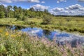 McCarthy Beach State Park in Northern Minnesota Royalty Free Stock Photo