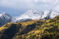 McClure Pass Colorado in the fall, with Chair Mountain above the aspen tree.