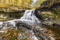McCormicks Creek Autumn Flow Royalty Free Stock Photo