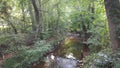 McDaniel Farm Park in Duluth Georgia - River View Royalty Free Stock Photo