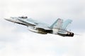 McDonnell Douglas CF-18 Hornet at an Airshow