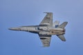 McDonnell Douglas F/A-18 Hornet on Kaivopuisto Air Show